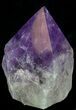 Polished Amethyst Crystal Point - Brazil #34736-1